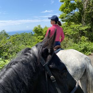 ～関東圏での乗馬ツアー回数券～