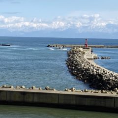 La forêt de Yukiko 流の旅行の楽しみ方