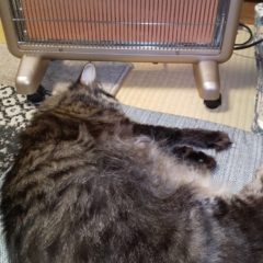 やる気のない時の過ごし方