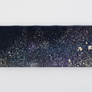 Le cosmos ～宇宙～