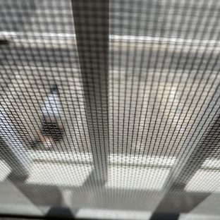 突然招かざる客が来た。そして…