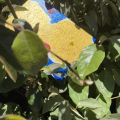 嫌な感情との上手な付き合い方