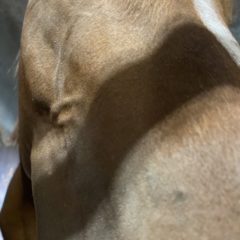 物事に真実なんて無い。