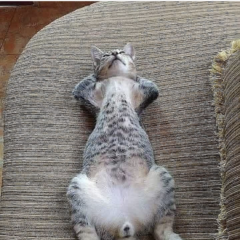 私の寝姿と完全に一致してる！！！