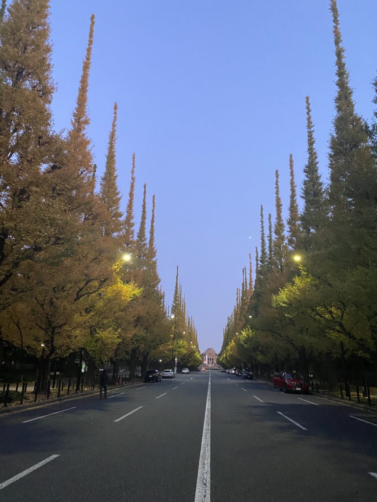 銀杏並木