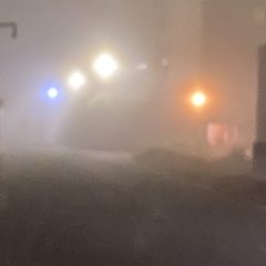 朝もやのあとは晴天が来るそうです((笑))