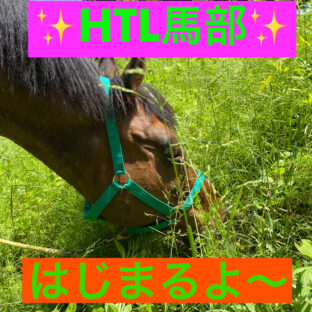 47歳部活を始める♡