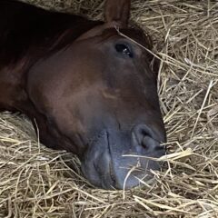 コロナ禍でもブレない私でいる