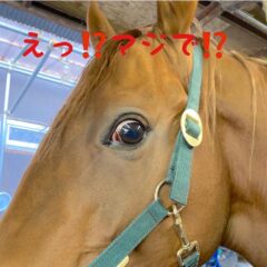 お久しぶりです^m^