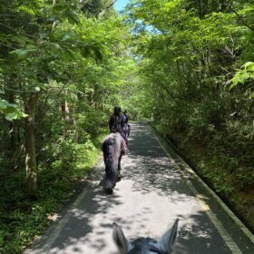 どこにもない丹田乗馬ツアー《よくばり一泊乗馬コース》